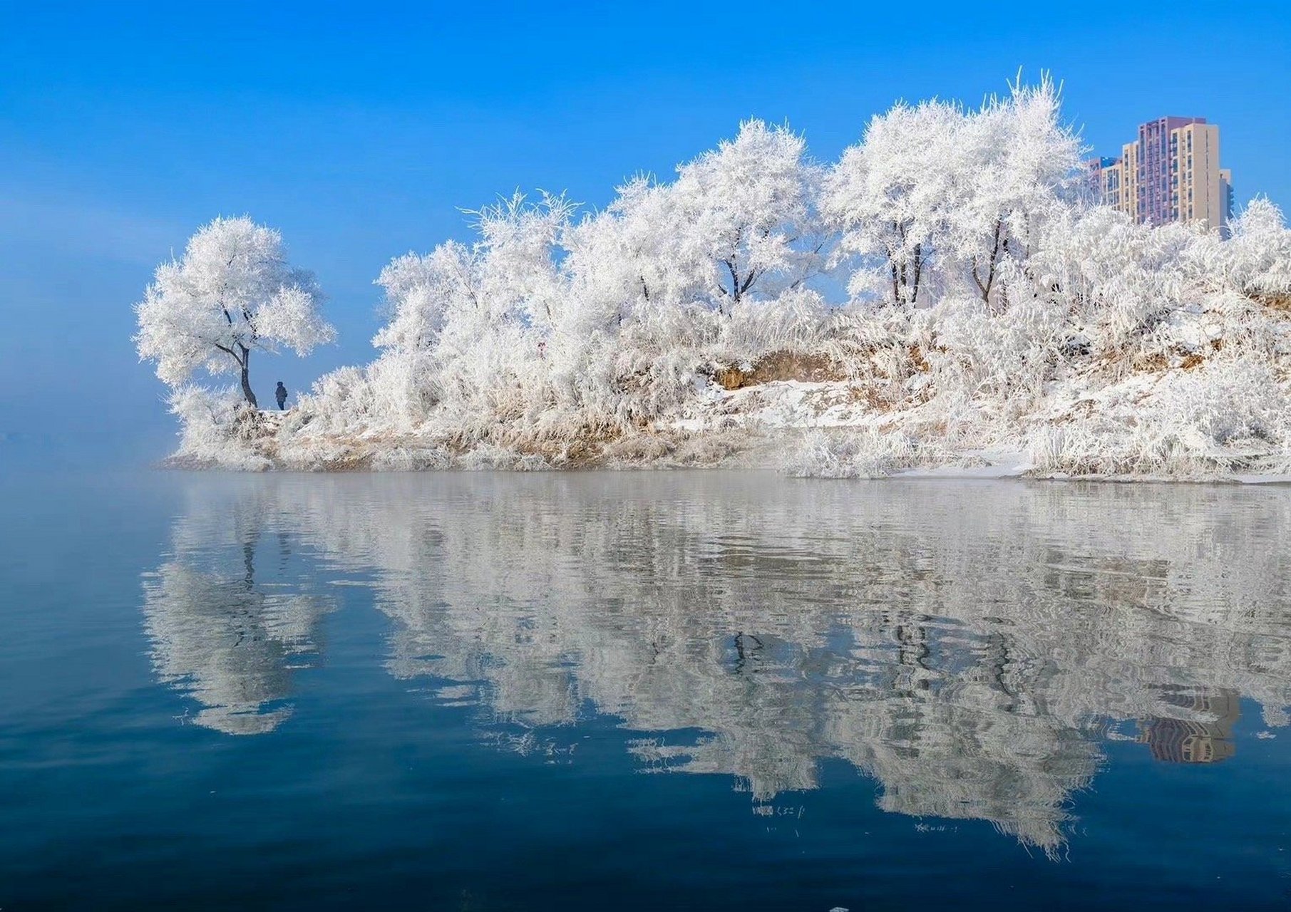 吉林——东北明珠的辉煌展望与未来展望