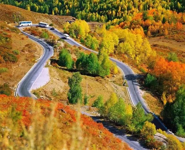 新疆,秘境之美与无限商机