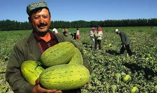 新疆，秘境之美与无限商机